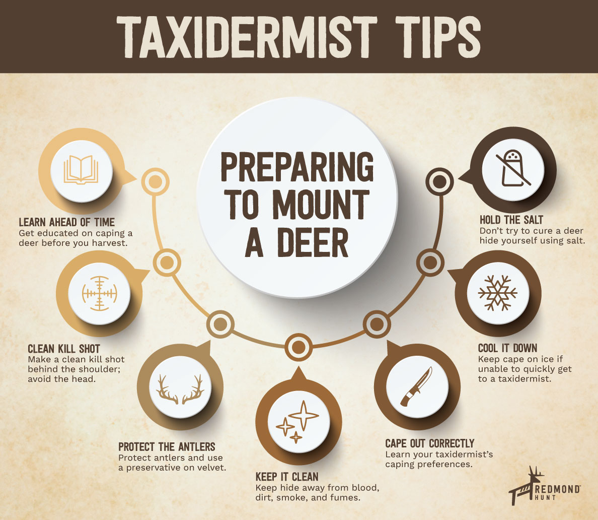 tips-from-a-taxidermist-how-to-prep-deer-for-mounting